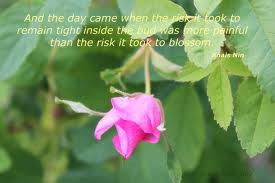 Quotes for spring, quotes about spring