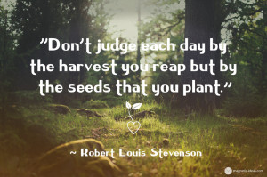 planting seeds quotes when you plant when you