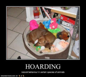 Labels: Funny Animal Photos With Caption