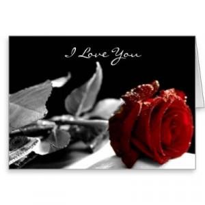 red_rose_i_love_you_with_chinese_love_quote_card ...