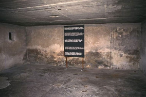nazi death camps gas chambers