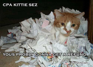 best new funny pictures cpa kitty