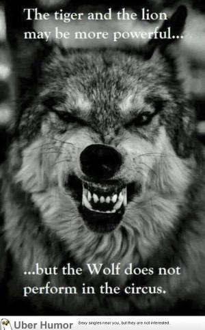 The strength of the wolf lies in its pack. | Funny Pictures, Quotes ...