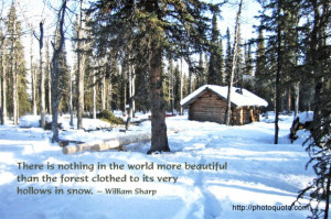 ... than the forest clothed to its very hollows in snow. ~ William Sharp