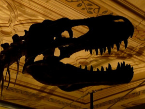 Funny Quotes Sayings Joke...