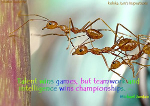 Posts related to Motivational Team Work Quotes