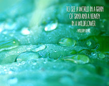 ... , Typography Art, William Blake, Water Droplets, Literary Quote, Teal