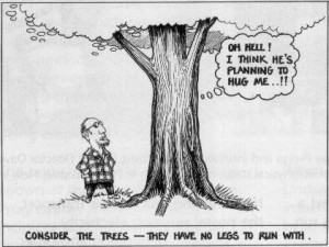 Trees, no matter how magnificent or apparently insignificant, can ...