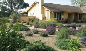 desert landscaping ideas for small front yards