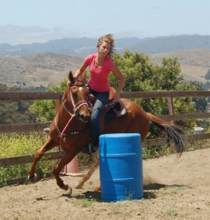 Related Pictures barrel racing sayings and quotes
