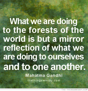 What We Are Doing To The Forests Of The World Is But A Mirror ...