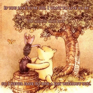 This quote displays the emotion which draws us to Winnie the Pooh.