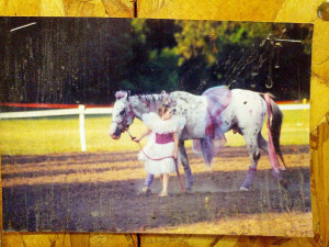 But he was a show horse from the time he was foaled, so having weird ...