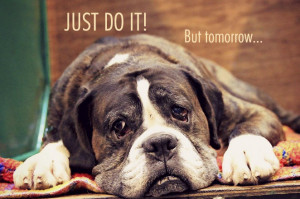 Funny quotes on laziness and being lazy