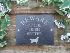 ... Of The Irish Setter Dog Natural Slate Wall Gate, Door Plaque, Sign