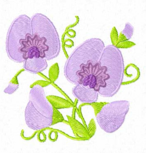 Sweet Pea Flowers And Quote