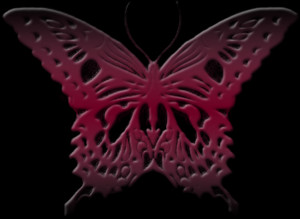 Funny Quotes Contact Dmca...