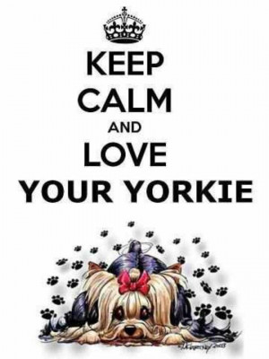 Keep Calm and Love Your Yorkie
