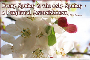 Spring quotes wallpapers and spring backgrounds hd