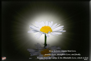 Christian Quotes: Love of God Papel de Parede Imagem