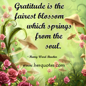 quotes about gratitude gratitude is the fairest blossom which