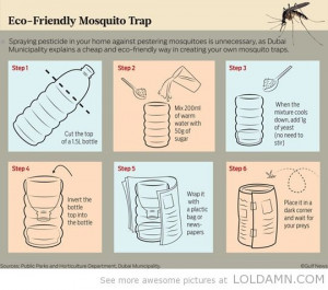 Camping tips: eco-friendly mosquito traps