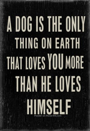 dog is the only thing on earth that loves you more than he loves ...