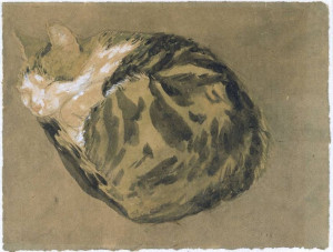 Cat | Pencil and watercolour | Gwen John paper