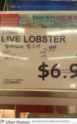 Daily Afternoon Chaos (40 Pictures)