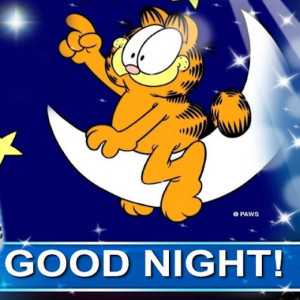 Garfield Good Night
