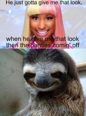 Sloths -Nicki sloth