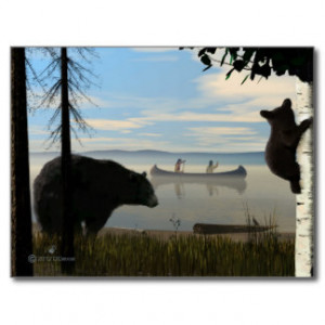 Beach Bears Postcard