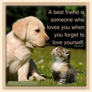 quote dog friend pets friendship quote kitten friendship quotes ...