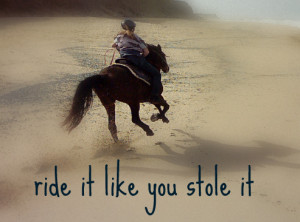 Quotes About Horses And