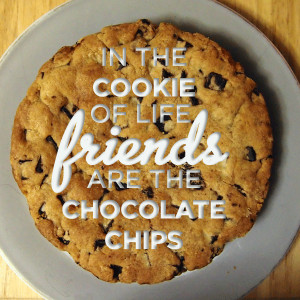 In the cookie of life, friends are the chocolate chips*