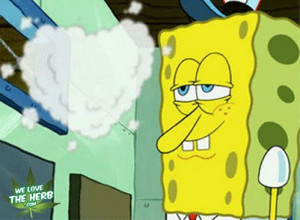 Spongebob Weed Quotes Marijuana isn't an addictive