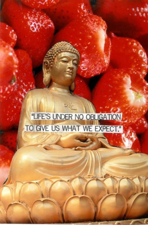 Purple Buddha Project Quotes