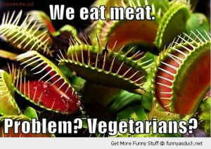 eat meat vegetarian problem venus fly trap plant funny pics pictures