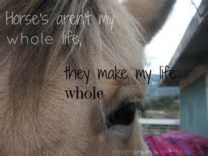 quotes | Horse Crazy