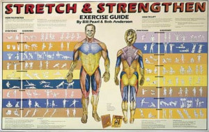Stretching - 8 Great Exercise Posters to Buy Online - 7 Standards of ...