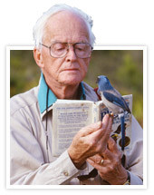 The Hunger Games Cast