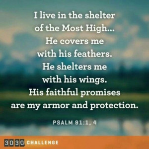 Psalm 91:1, 4 -- One of my favorite reminders of God's love for me : )