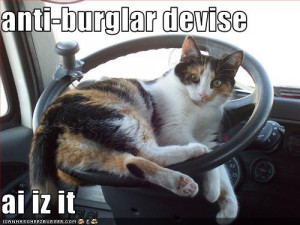 funny-pictures-cat-is-anti-burglar-device