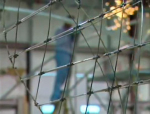 Martin Puryear — That Profile