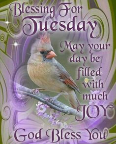 tuesday blessing more beautiful blessed terrific tuesday weeks quotes ...
