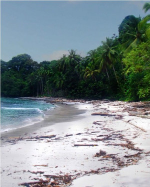 Region Insular Cuenta Con