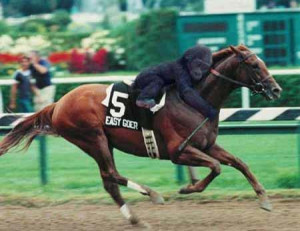 Related Pictures crazy funny animal pictures