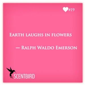 ... Waldo Emerson from www.scentbird.com #perfume, #fragrance, #quote