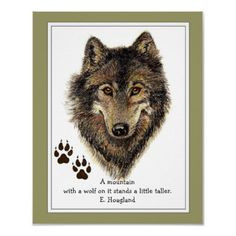 Original Watercolor Wolf, Tracks Mountain Quote