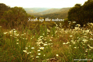 Daily Quotes: “Soak up the Nature :)”